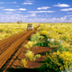 Illustration for article titled The Hay River Track